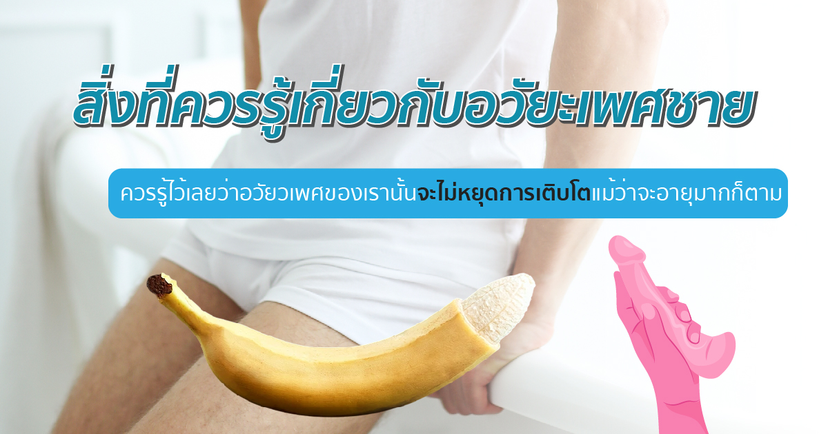 สิ่งที่ควรรู้เกี่ยวกับอวัยะเพศชาย ขลิบไร้เลือด ขลิบอวัยวะเพศชาย หมอเบียร์ Eternity Clinic