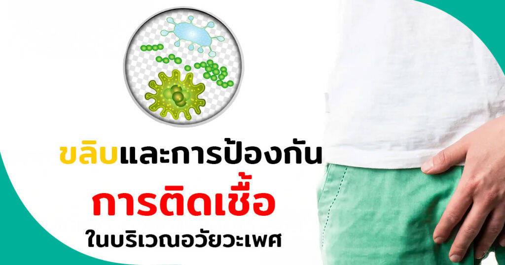 ขลิบไร้เลือด