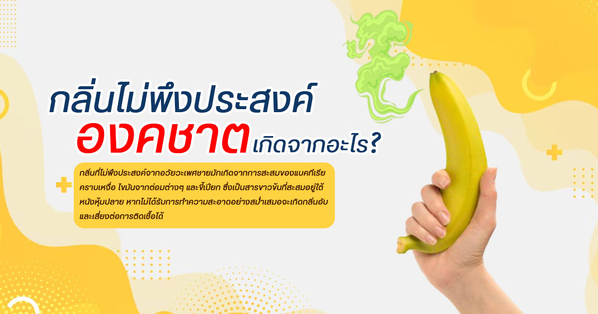 ขลิบไร้เลือด